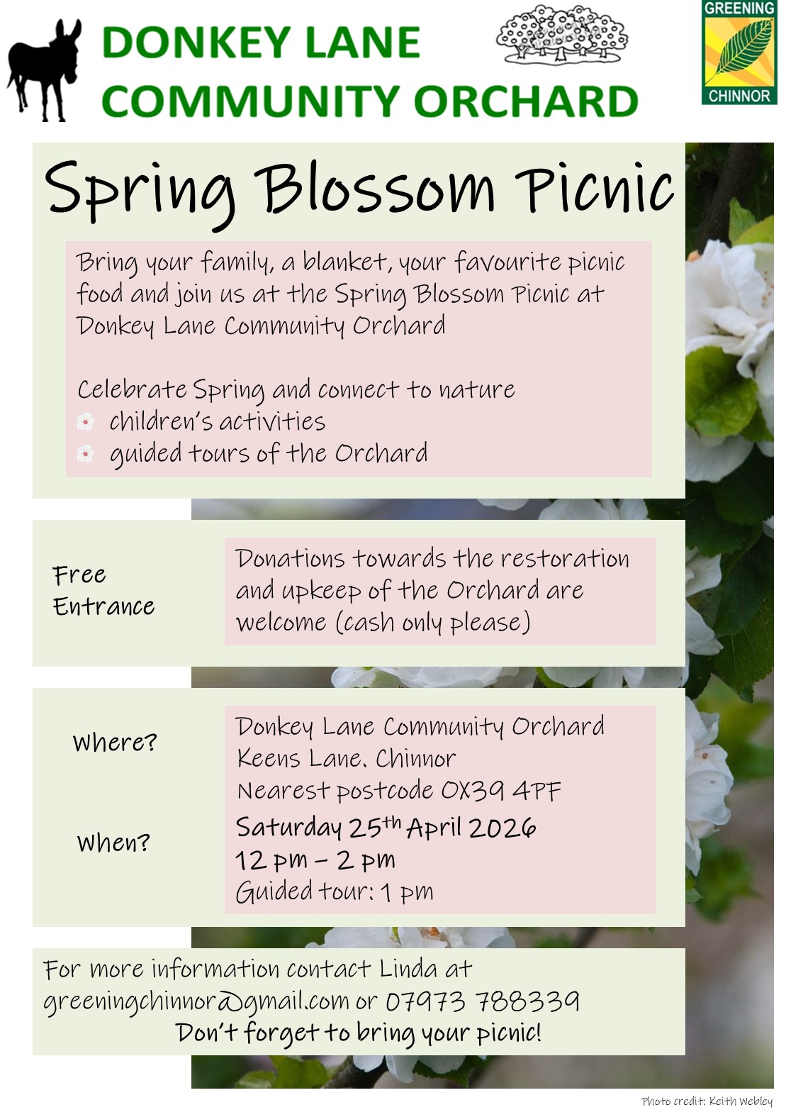Donkey Lane Community Orchard - Spring Blossom Picnic